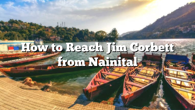 How to Reach Jim Corbett from Nainital